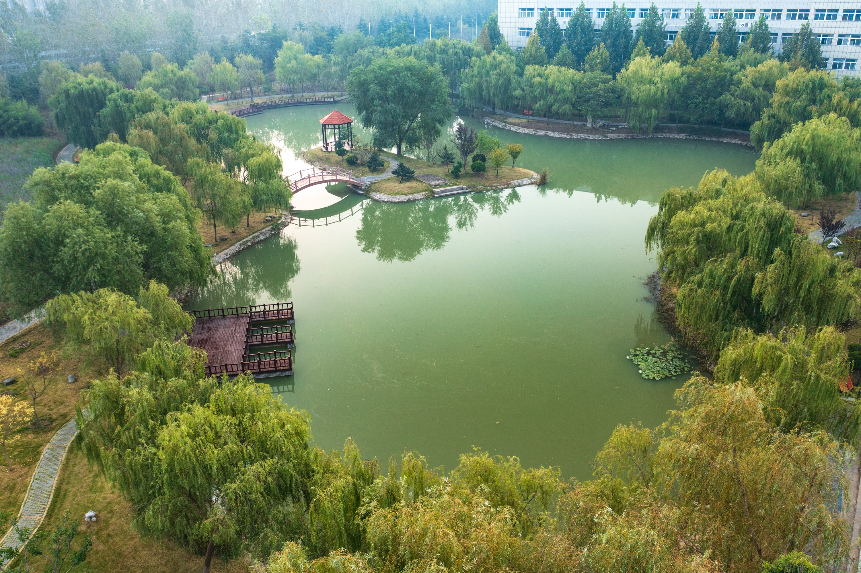 初心湖.jpg